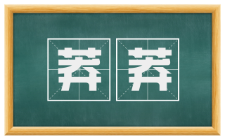 莽莽