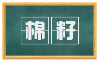 棉籽