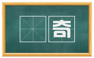 尨奇