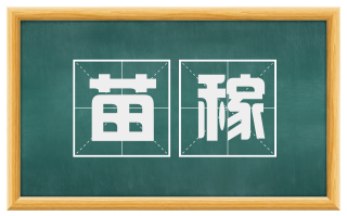 苗稼