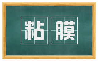 粘膜