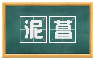 泥菖