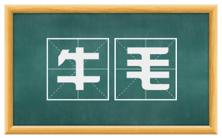 牛毛