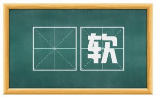 儾软