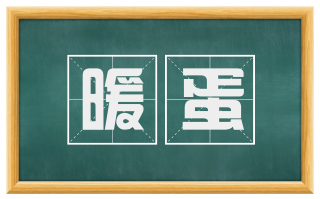暖蛋
