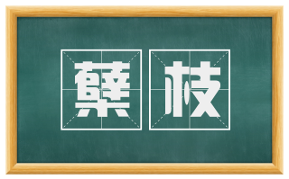 蘖枝