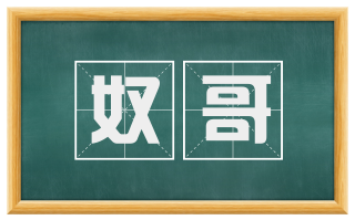 奴哥