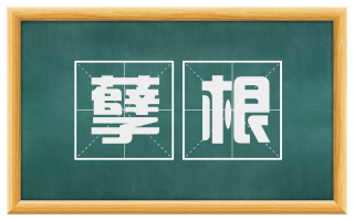孽根