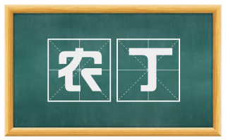 农丁