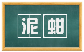 泥蚶