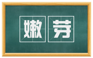 嫩芽