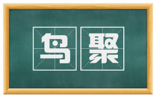 鸟聚