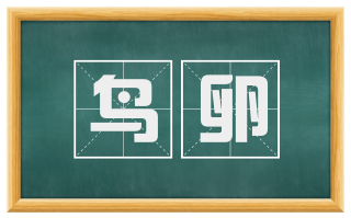鸟卵