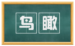 鸟瞰