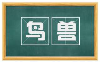 鸟兽