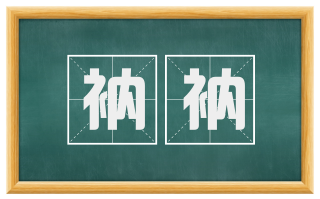 衲衲