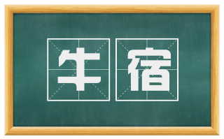 牛宿