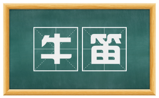 牛笛