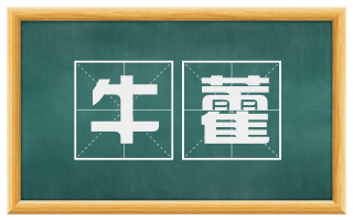 牛藿