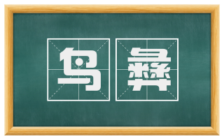 鸟彝