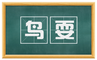 鸟耍