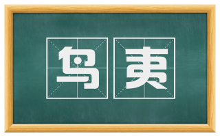鸟夷