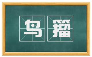 鸟籀