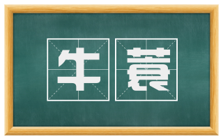 牛蓑