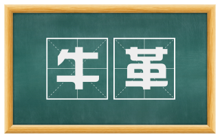 牛革