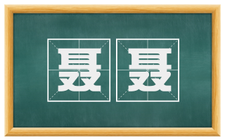 聂聂