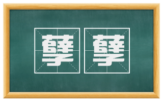 孽孽