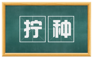 拧种