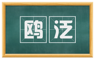 鸥泛