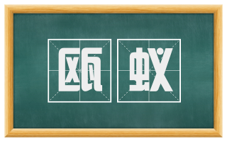 瓯蚁