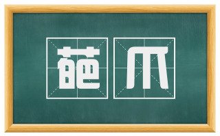 葩爪
