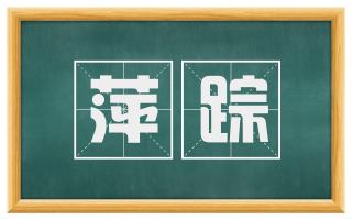 萍踪