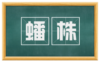 蟠株