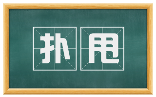 扑甩