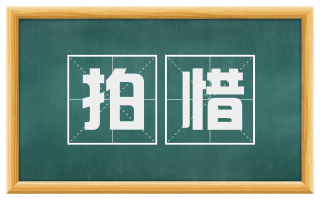 拍惜