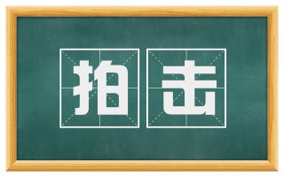 拍击