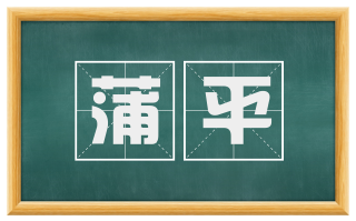 蒲平