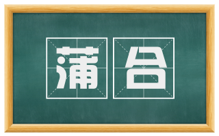 蒲合