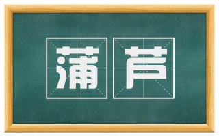 蒲芦