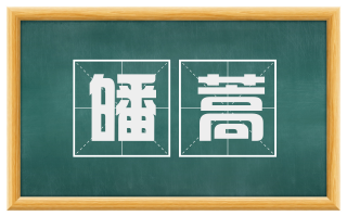 皤蒿