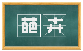 葩卉