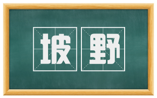 坡野