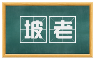 坡老