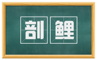 剖鲤
