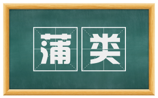 蒲类