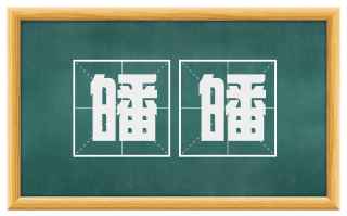 皤皤